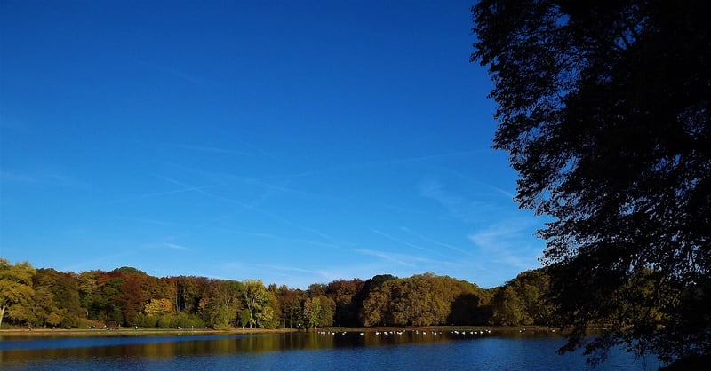 Wellness Getaways